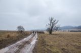 201402121123-AJ001411.jpg